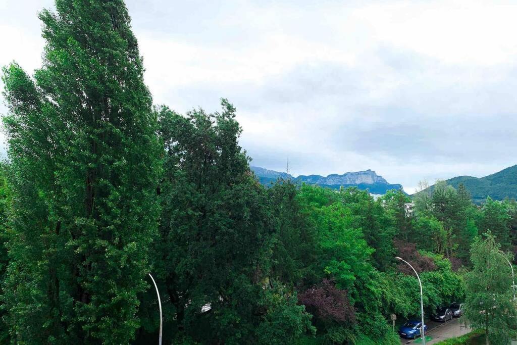 Charmant Appartement Avec Vue Sur Les Montagnes Annecy Exterior photo